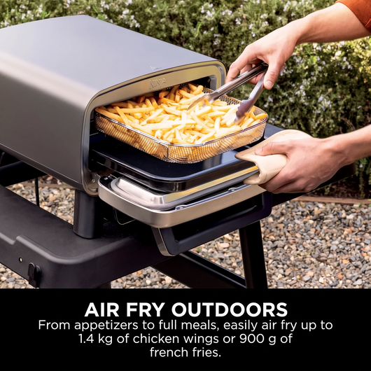 Ninja Artisan Outdoor Pizza Oven, 4 Functions